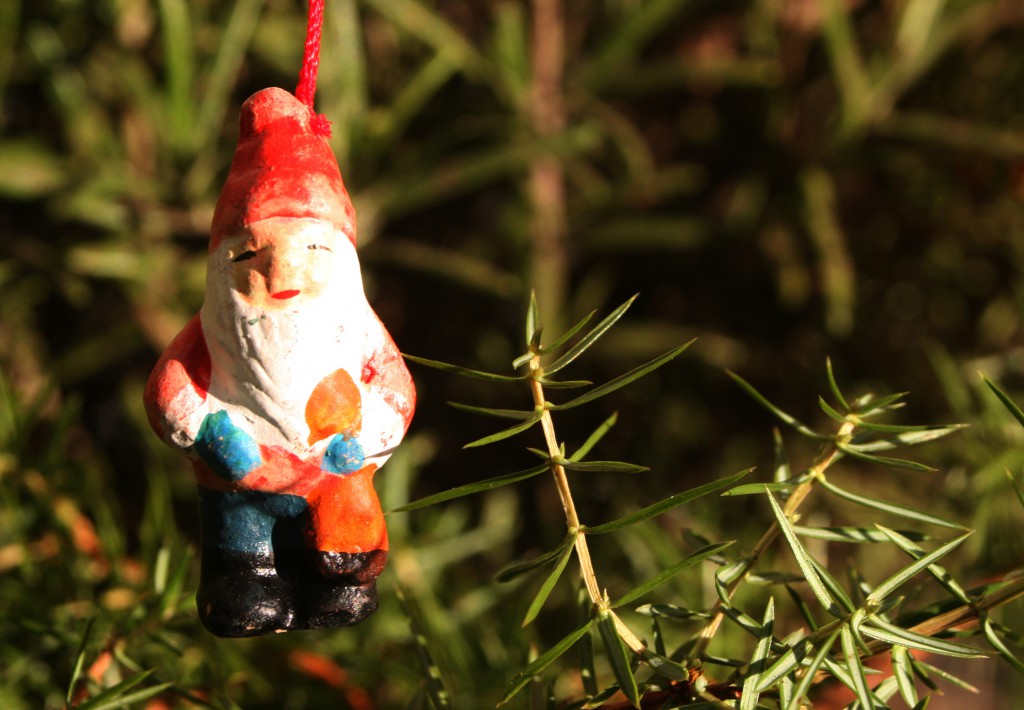 tomte